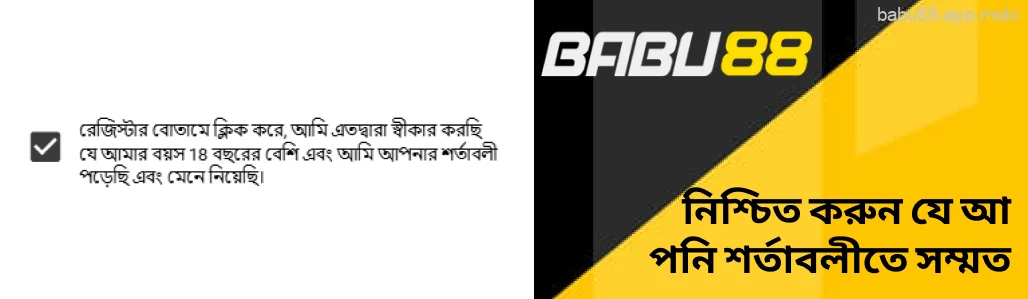 আপনার বয়স ১৮ বছর বা তার বেশি এবং শর্তাবলীতে Babu88